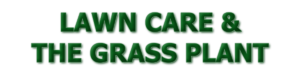 Lawn Care & The Grass Plant